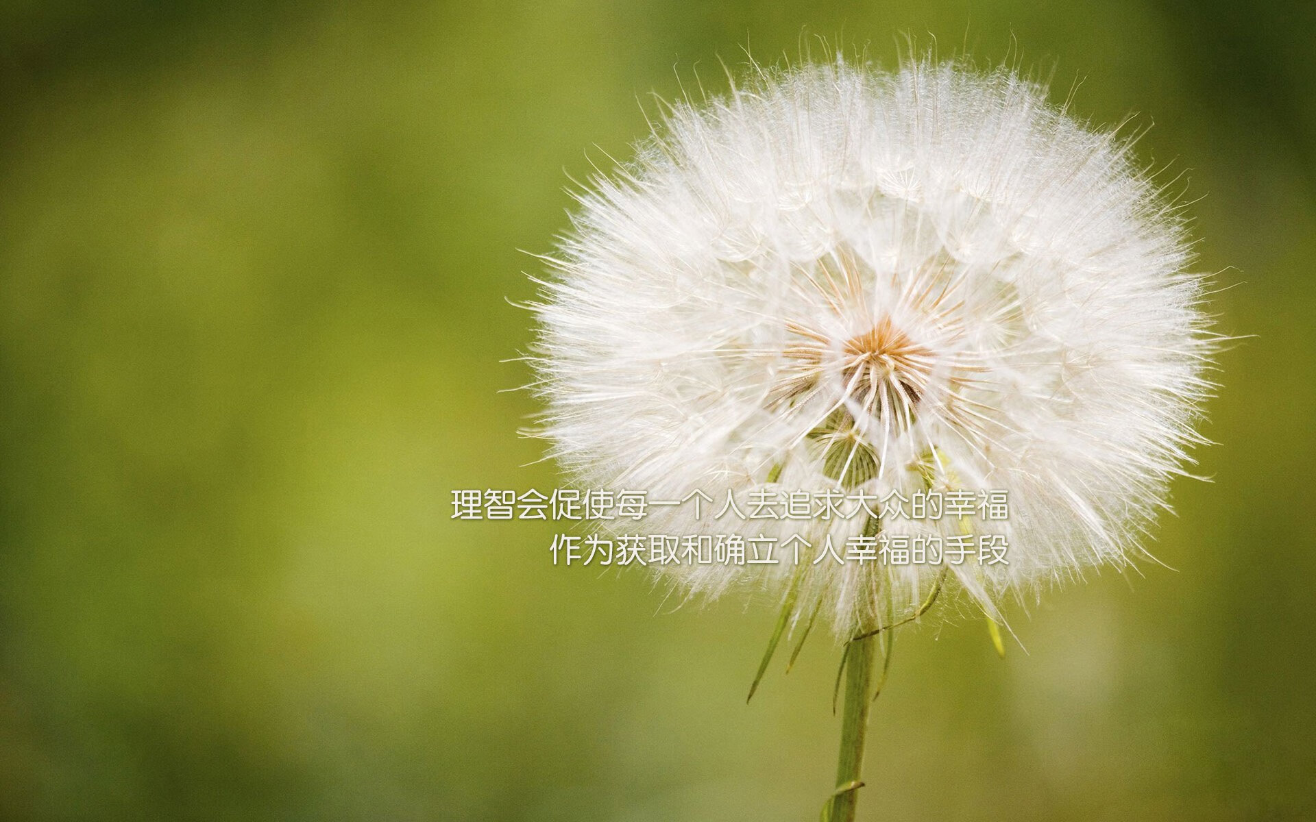 热刺引援首发球员，为新赛季做足准备，热刺引援首发球员,为新赛季做足准备的是谁