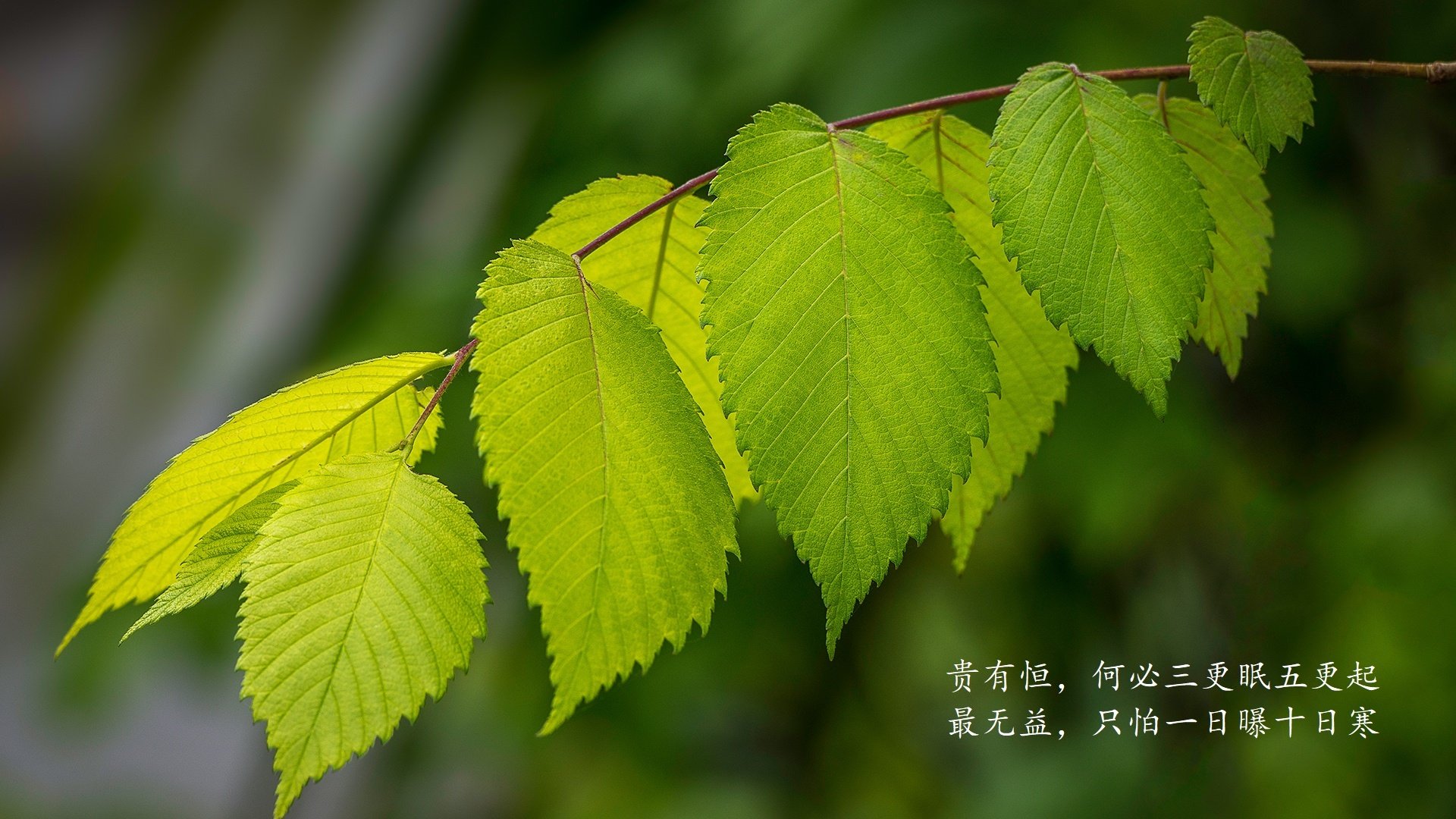 AYX官网-电竞摄影师的视角：捕捉精彩瞬间与记录历史，电竞形象照