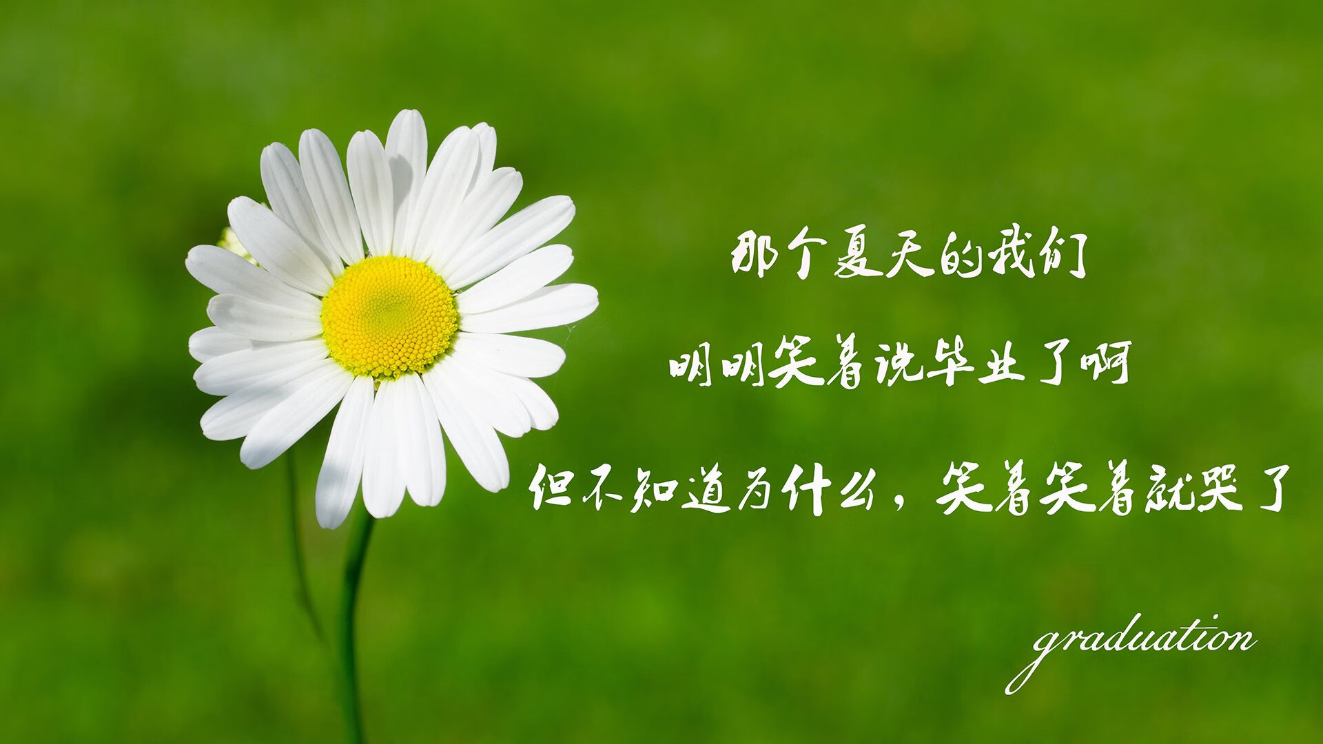 英超豪门争锋，精彩进球和神级扑救争奇斗艳，英超豪门爆冷