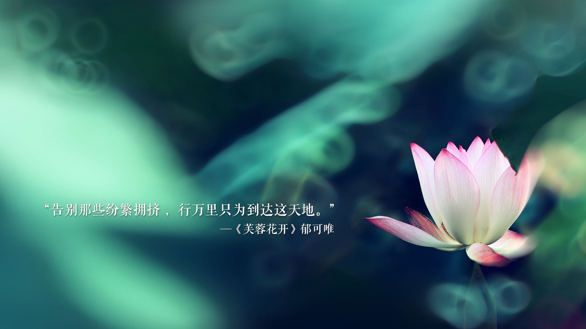 -公牛队队员轮番上阵，力拼绝杀夺胜，公牛队有多强
