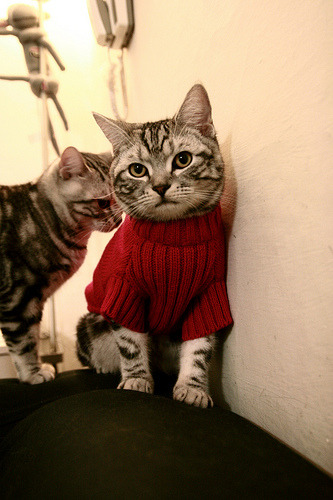 冬训期间球队完成多场热身赛新战术逐渐成熟并取得效果，2021冬训方案