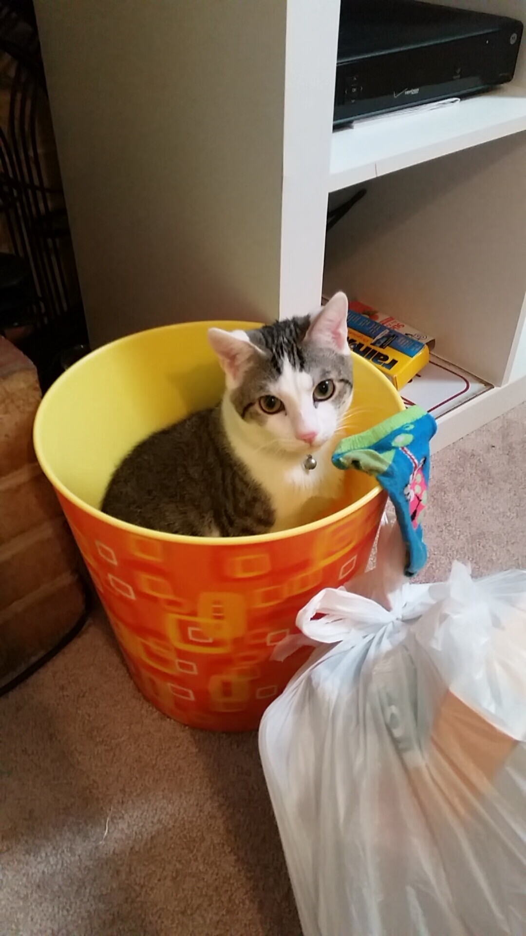 AYX官网-女子足球青训教练纳入全国专业人才评定体系，女子足球训练基地