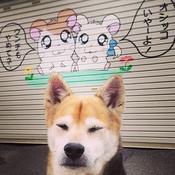 斯密斯：他精准的长传与小范围传球使全黑队战术更加多样化，斯密斯健身