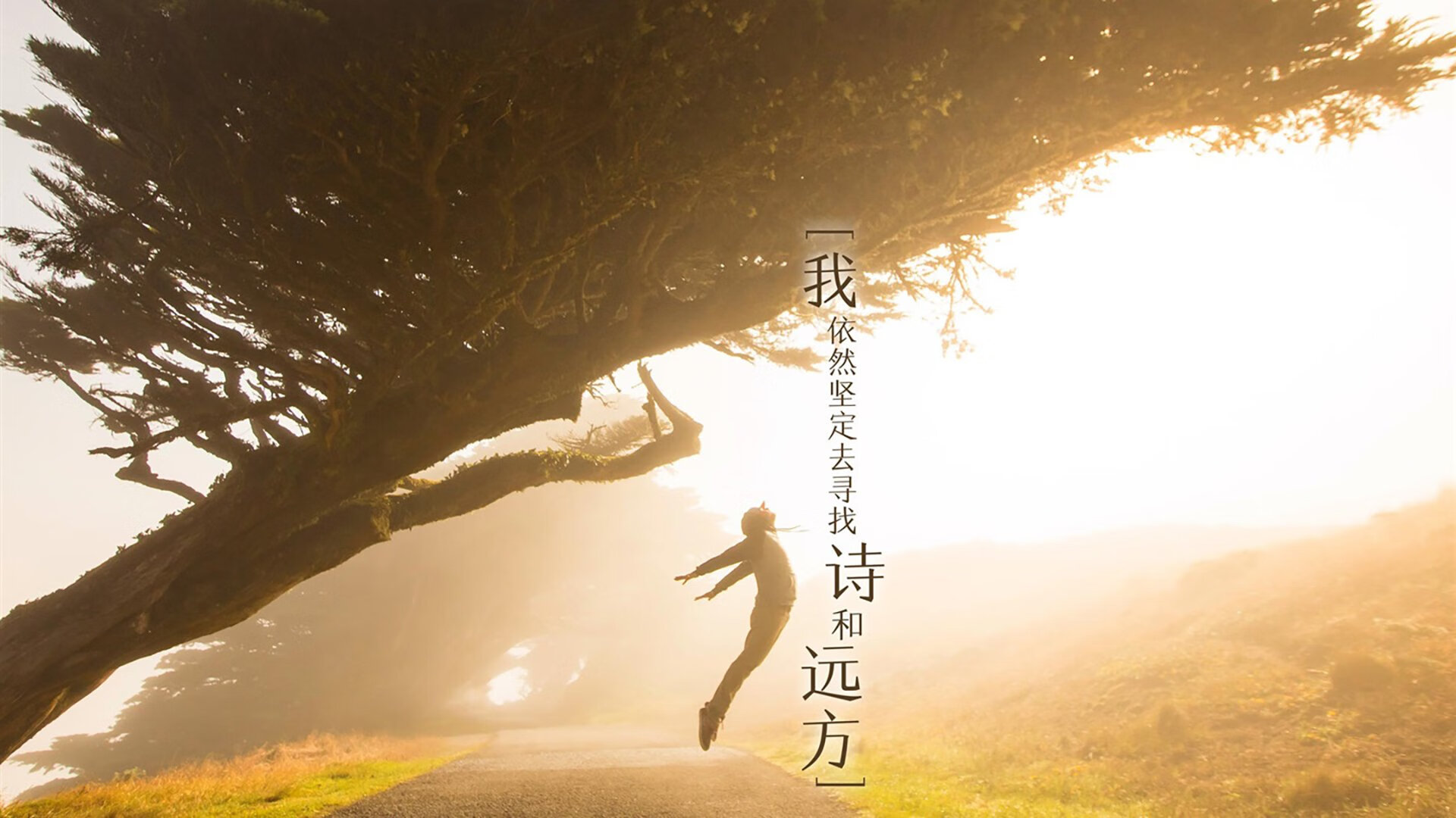 独行侠内外线配合默契击退来犯之敌,独行侠防守