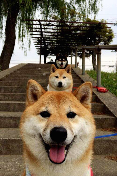 皮特·斯图斯带领南非队成功防守,实力展现无遗,斯图皮特2021