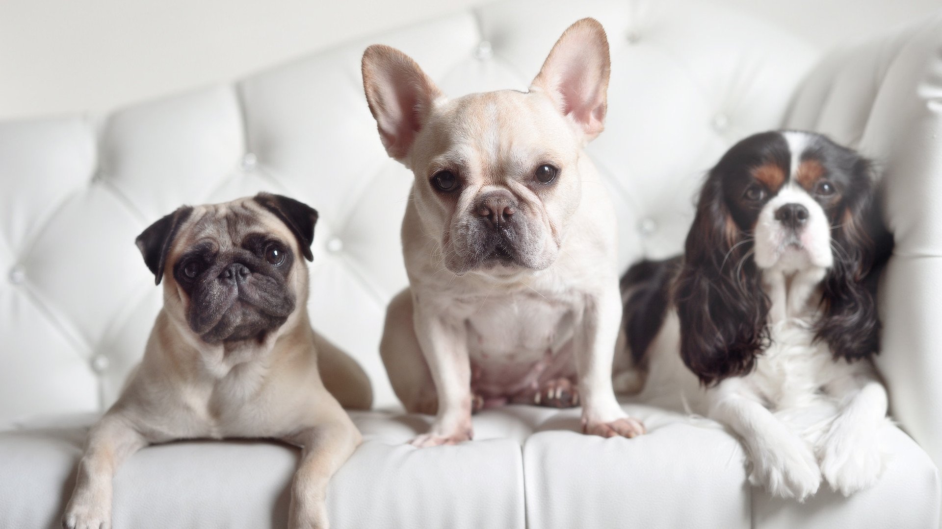 AIYOUXI.COM-足球青训教练受表彰，推动本土人才培养，足球青训队招聘条件