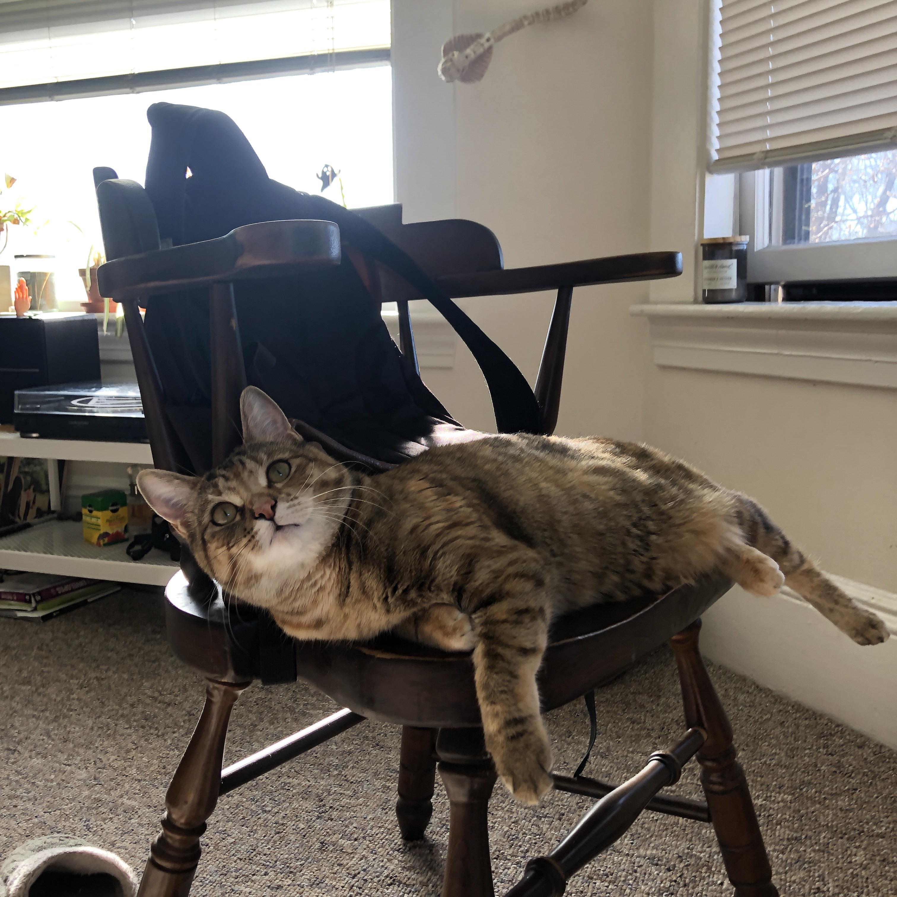 青少年篮球设立基础技能分级评估推进教学标准化，篮球项目青少年运动技能标准